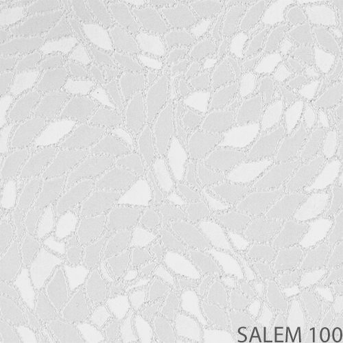 salem 100_new_popis